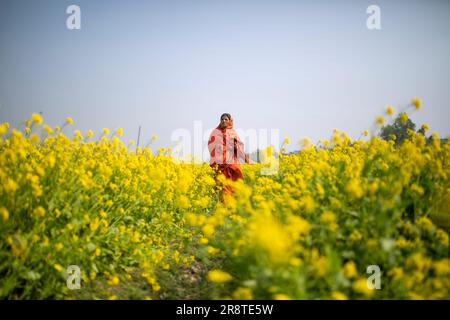 Eine ländliche Frau läuft durch das Senffeld. Jessore, Bangladesch. Stockfoto