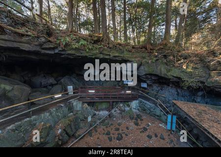 Narusawa-Eishöhle Stockfoto