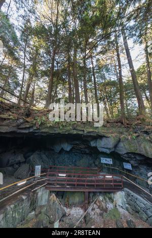 Narusawa-Eishöhle Stockfoto