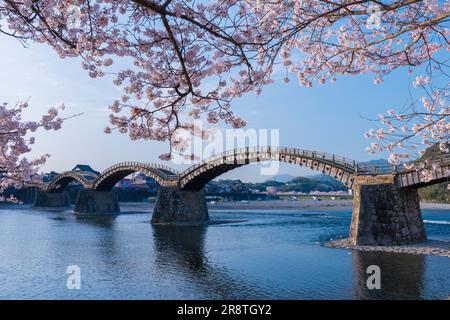 Kintai-Brücke mit blühenden Kirschblüten am Morgen Stockfoto