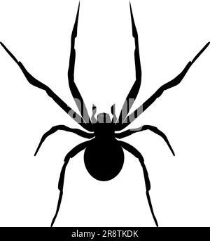 Silhouette der schwarzen Widow Spider isoliert auf weißem Hintergrund. Darstellung des Symbolvektors Stock Vektor