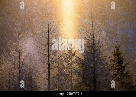 Die Sonnensäule in Kirigamin Stockfoto