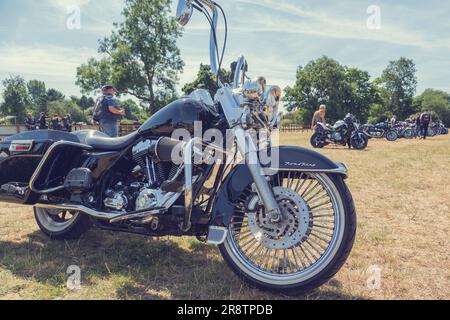 Ein Harley Davidson Road King steht bei einer Motorrad-Rallye in einer Reihe von Motorrädern. Biker bei einem Treffen. Stockfoto