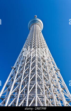 Der Tokyo Skytree Tower erhebt sich über einem blauen Himmel Stockfoto