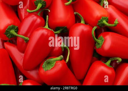 Rote scharfe Chilischoten als Hintergrund, Draufsicht Stockfoto