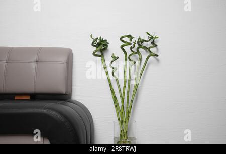 Vase mit wunderschönen grünen Bambusstämmen in der Nähe der Couch im Haus Stockfoto