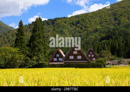 Blauer Himmel und die menschlichen Siedlungen im Dorf Shirakawago im Herbst Stockfoto