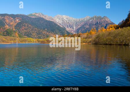 Taishoike-Teich am Morgen Stockfoto