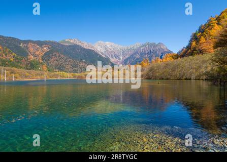 Taishoike-Teich am Morgen Stockfoto