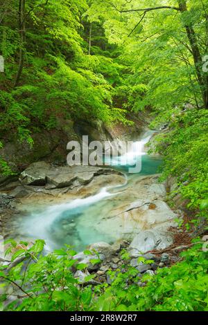 Nishizawa Tal Stockfoto