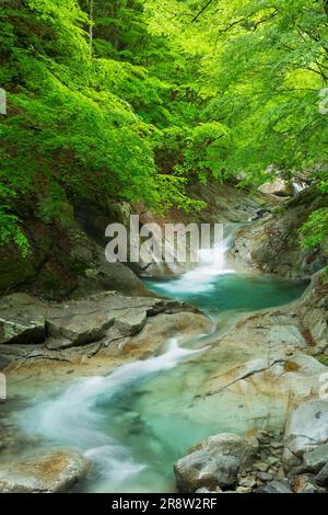 Nishizawa Tal Stockfoto