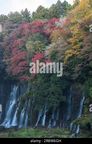 Shiraito Falls im Herbstlaub Stockfoto