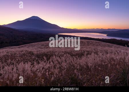 Mt. Fuji und Silbergras Stockfoto