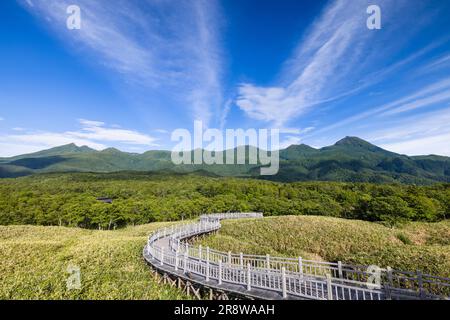 Shiretoko Goko Lakes Walkway Stockfoto