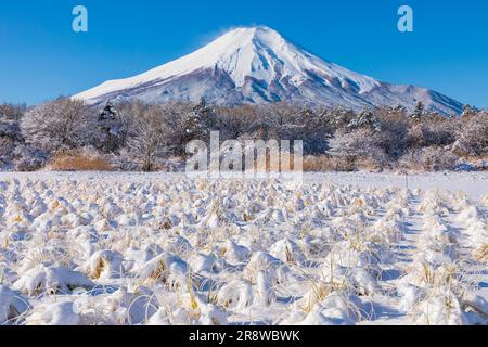 Neuer Schnee und Mt. Stockfoto