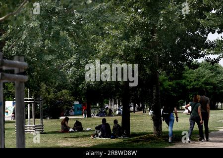 Berlin, Deutschland. 22. Juni 2023. Leute, die in Mauerpark unter Bäumen sitzen. Die milden Sommernächte laden die Besucher zu Partys in den Berliner Parks ein. Kredit: Carsten Koall/dpa/Alamy Live News Stockfoto