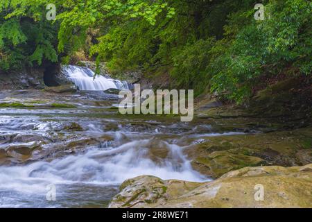 Awamata Falls in Yoro Gorge Stockfoto