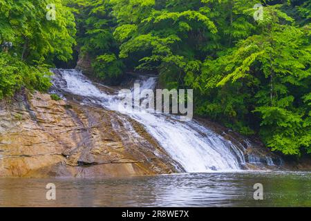 Awamata Falls in Yoro Gorge Stockfoto