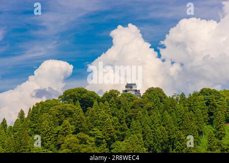 Schloss Echizen Ono Stockfoto