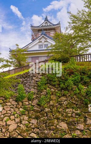 Schloss Echizen Ono Stockfoto