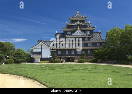 Okayama Castle Stockfoto