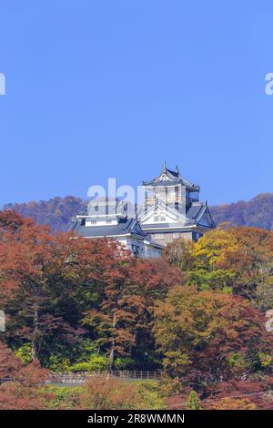 Schloss Echizen Ono im Herbst Stockfoto