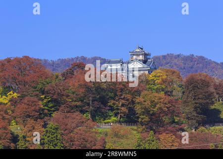 Schloss Echizen Ono im Herbst Stockfoto