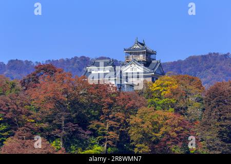 Schloss Echizen Ono im Herbst Stockfoto