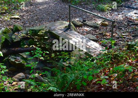 Eine kleine Holzsteg führt über einen kleinen Bach auf dem Pedestal Rock Trail in der Pedestal Rocks Scenic Area, Pelsor, Arkansas, AR, USA Stockfoto