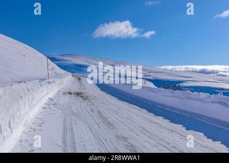 Venus-Linie im Winter Stockfoto