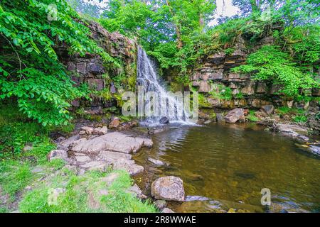 East Gill Force Wasserfall bei Keld in Swaledale, Yorkshire Dales National Park Stockfoto