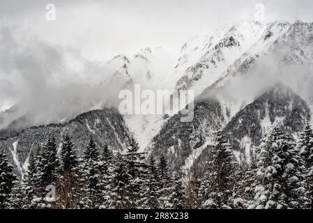 Nishihotakaguchi mit Schnee und Bäumen am Tag Stockfoto
