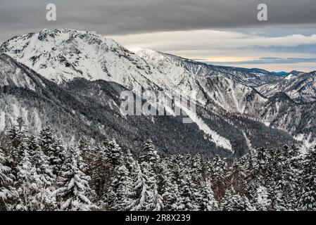 Nishihotakaguchi mit Schnee und Bäumen am Tag Stockfoto