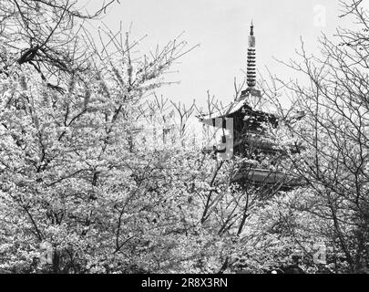 Ehemaliger Kan'ei-ji-Tempel, fünfstöckige Pagode Stockfoto