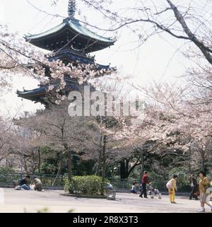 Ehemaliger Kan'ei-ji-Tempel, fünfstöckige Pagode Stockfoto