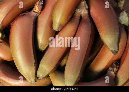Köstliche lila Bananen im Hintergrund, Blick von oben Stockfoto