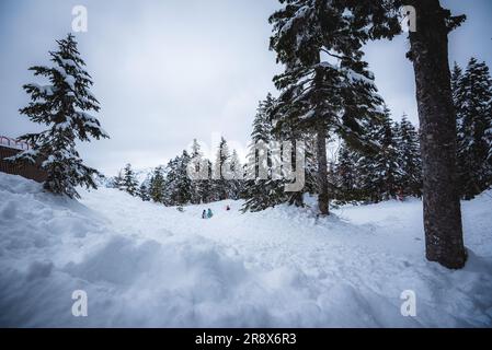 Nishihotakaguchi mit Schnee und Bäumen am Tag Stockfoto