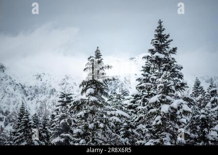Nishihotakaguchi mit Schnee und Bäumen am Tag Stockfoto