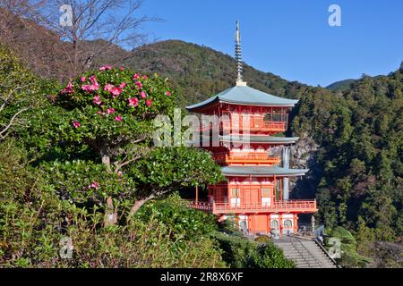 Dreistöckige Pagode des Seigantoji-Tempels und Nachi-Wasserfalls Stockfoto