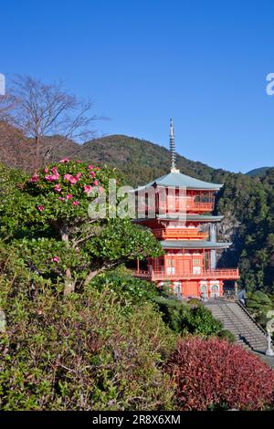 Dreistöckige Pagode des Seigantoji-Tempels und Nachi-Wasserfalls Stockfoto