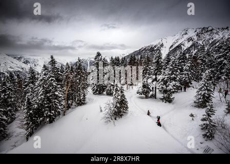 Nishihotakaguchi mit Schnee und Bäumen am Tag Stockfoto