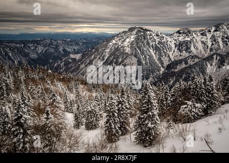 Nishihotakaguchi mit Schnee und Bäumen am Tag Stockfoto