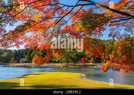 Garten des Motsuji-Tempels Stockfoto