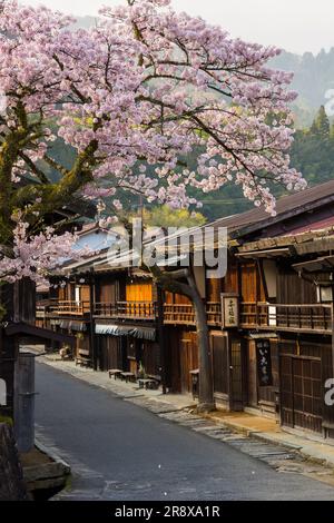 Tsumago Yado am Morgen, wenn die Kirschblüten in voller Blüte sind Stockfoto