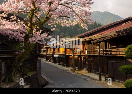 Tsumago Yado am Morgen, wenn die Kirschblüten in voller Blüte sind Stockfoto