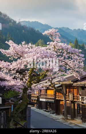 Tsumago Yado am Morgen, wenn die Kirschblüten in voller Blüte sind Stockfoto