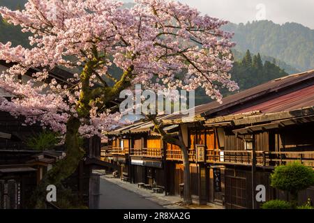 Tsumago Yado am Morgen, wenn die Kirschblüten in voller Blüte sind Stockfoto