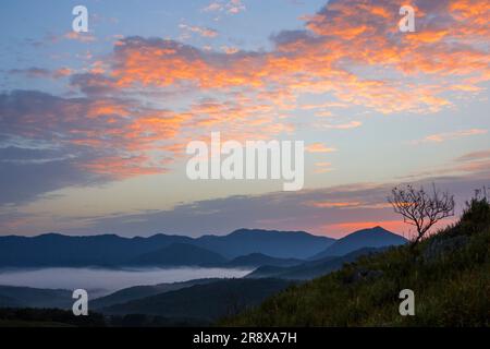 Akiyoshidai am Morgen Stockfoto