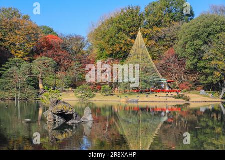 Rikugien im Herbst Stockfoto