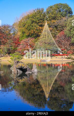 Rikugien im Herbst Stockfoto